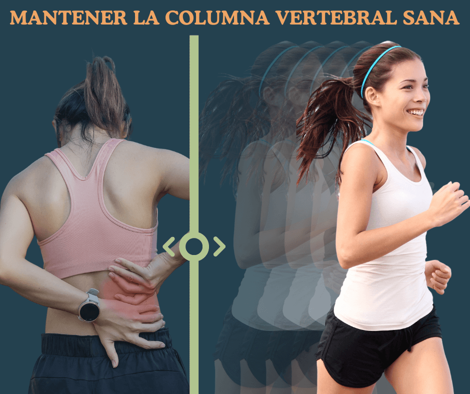 Mantener la columna vertebral sana: 6 Consejos y 4+1 Hábitos