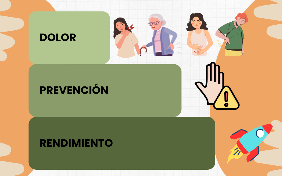 Fases de la atención quiropráctica - Gráfica