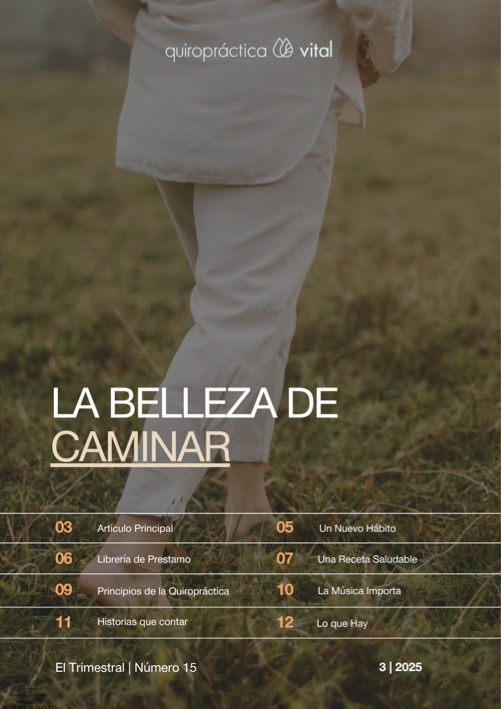 12 minutos caminando NEWSLETTER - El Trimestral #15 - portada